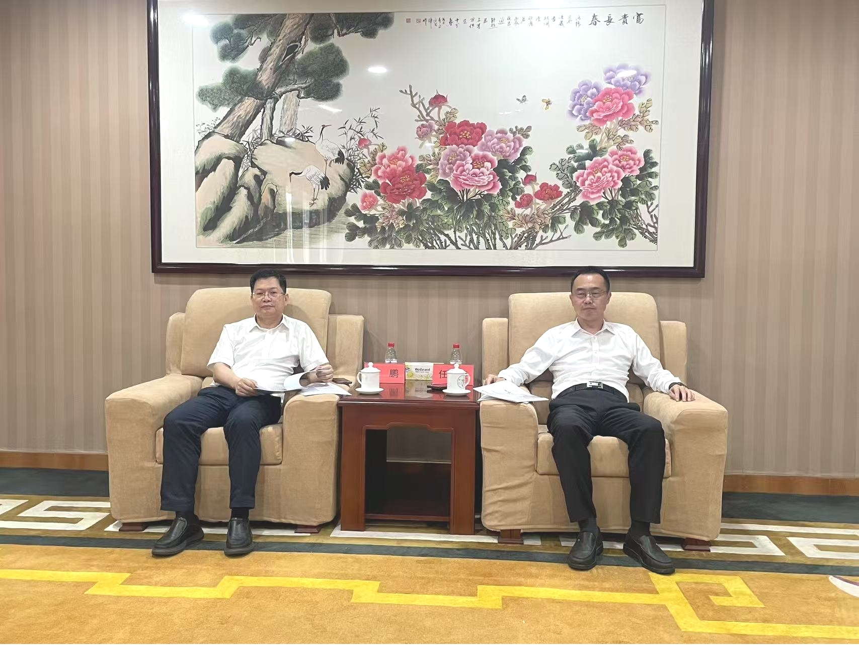 东莞人保财险座谈.jpg